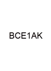 Balancing Chemical Equations 1 Answer Key