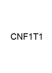 Composite Numbers From 1 To 100