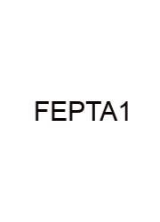 Florida Eoc Practice Test Algebra 1