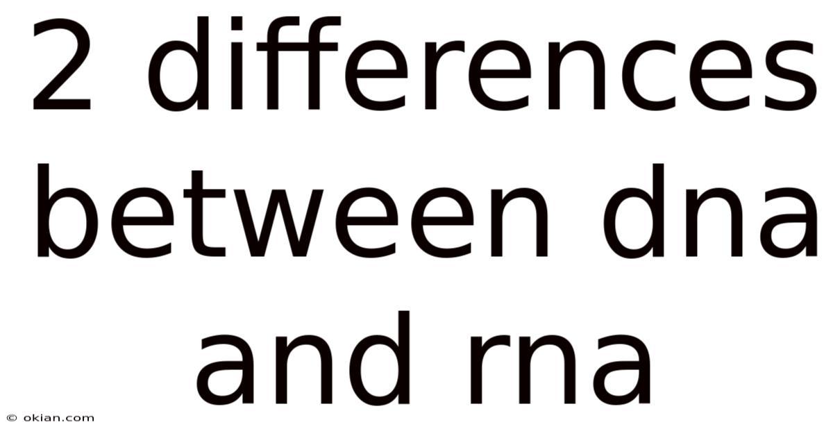 2 Differences Between Dna And Rna