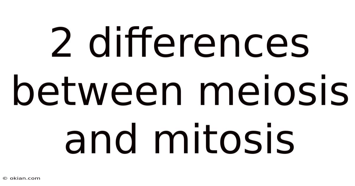 2 Differences Between Meiosis And Mitosis