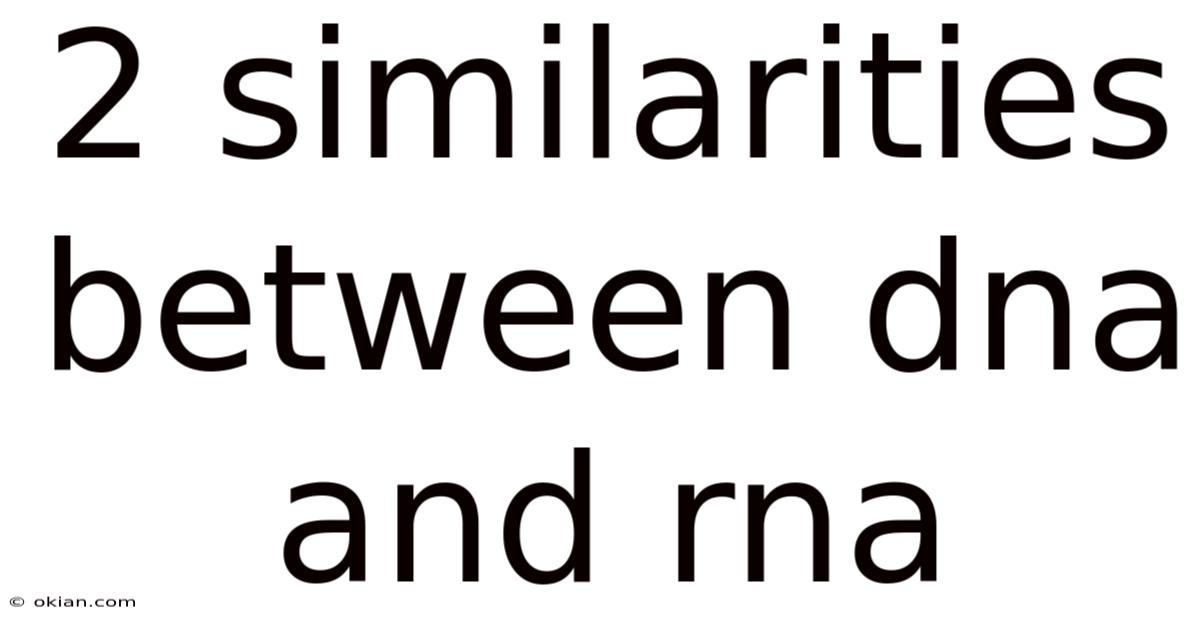 2 Similarities Between Dna And Rna