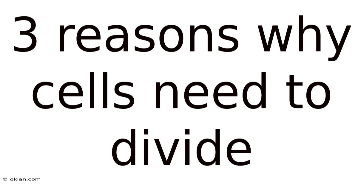 3 Reasons Why Cells Need To Divide