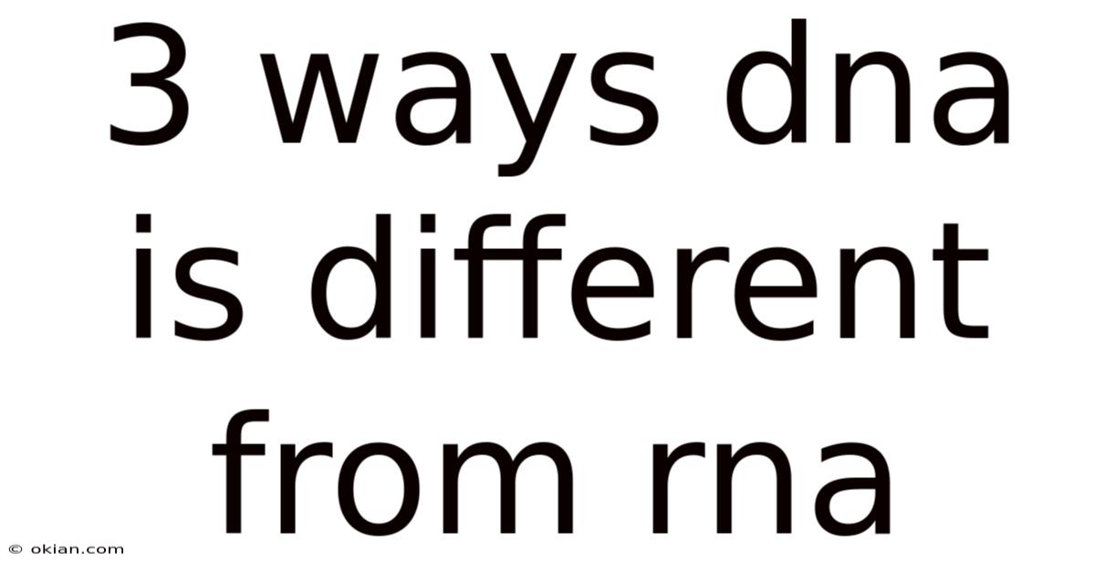 3 Ways Dna Is Different From Rna