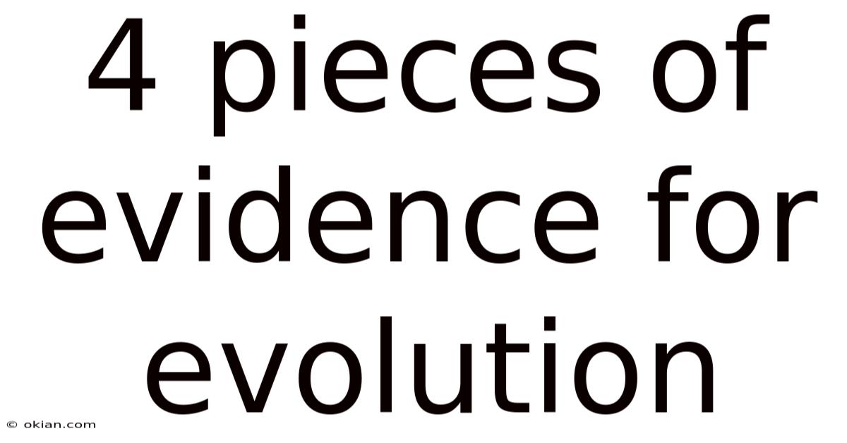 4 Pieces Of Evidence For Evolution