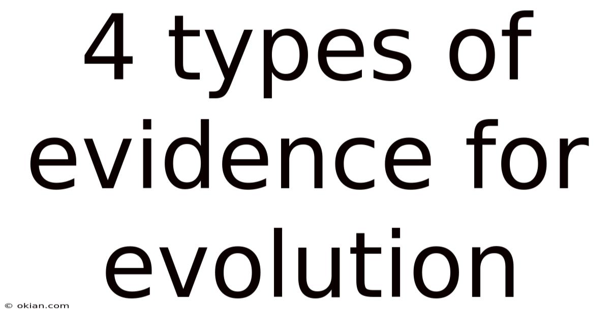 4 Types Of Evidence For Evolution