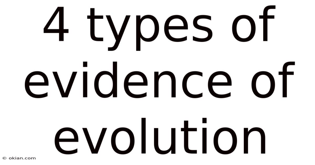 4 Types Of Evidence Of Evolution