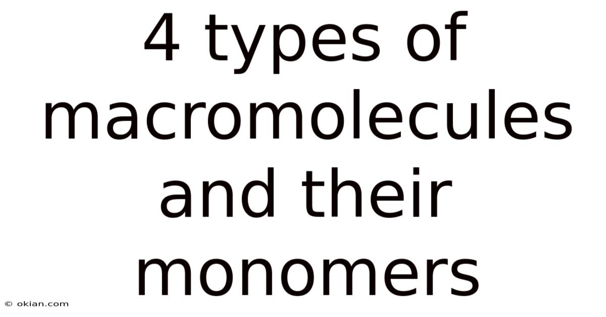 4 Types Of Macromolecules And Their Monomers