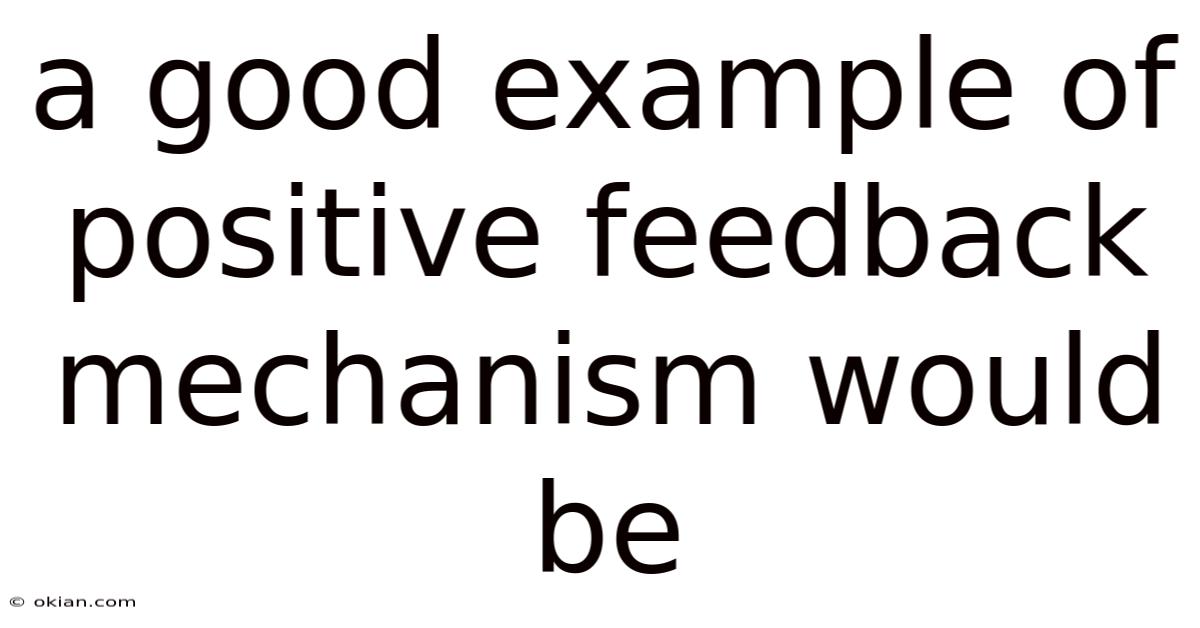 A Good Example Of Positive Feedback Mechanism Would Be