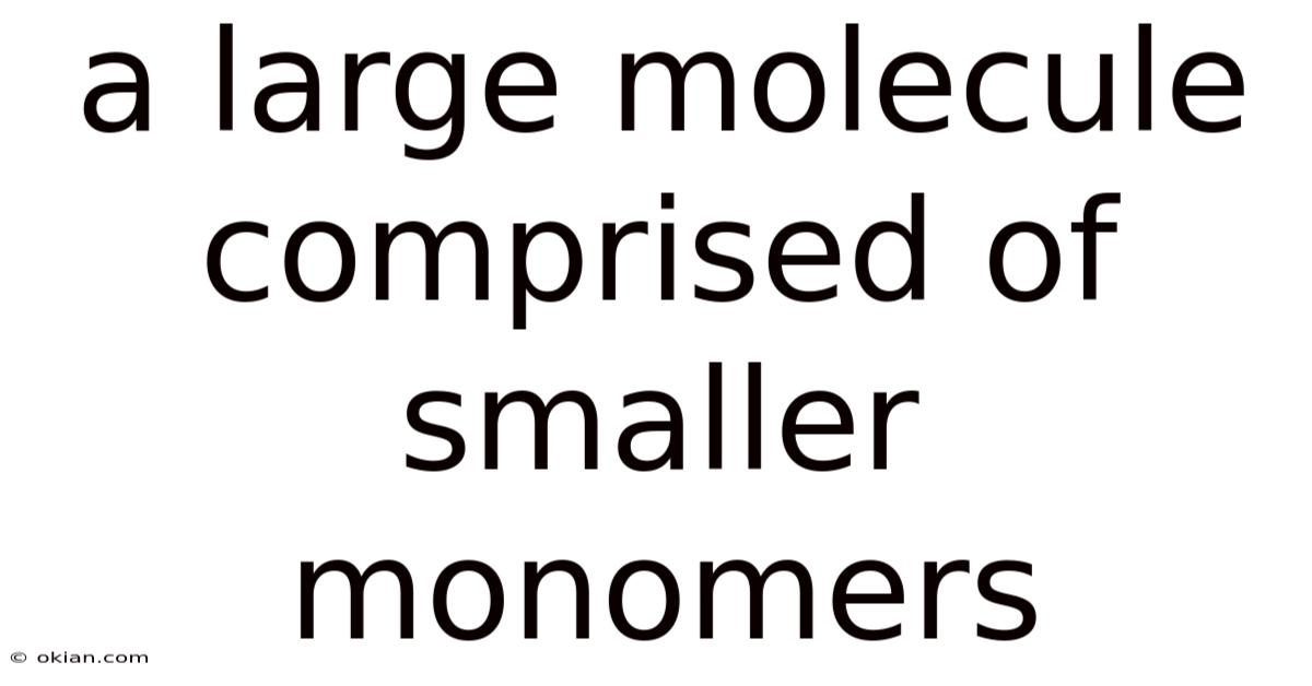 A Large Molecule Comprised Of Smaller Monomers