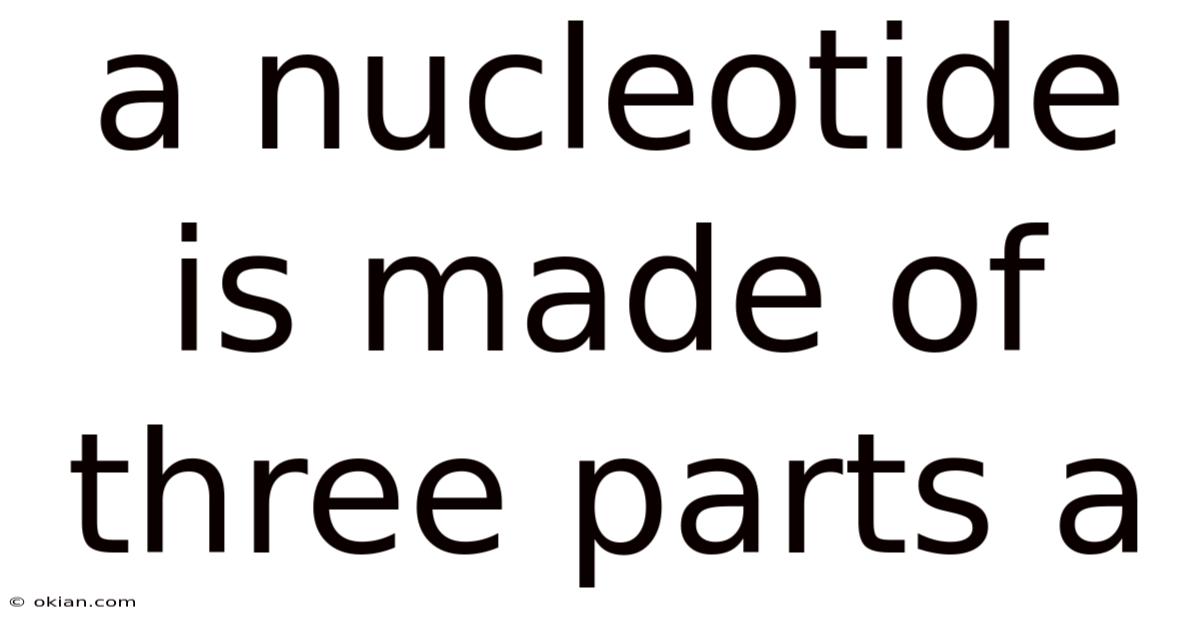 A Nucleotide Is Made Of Three Parts A