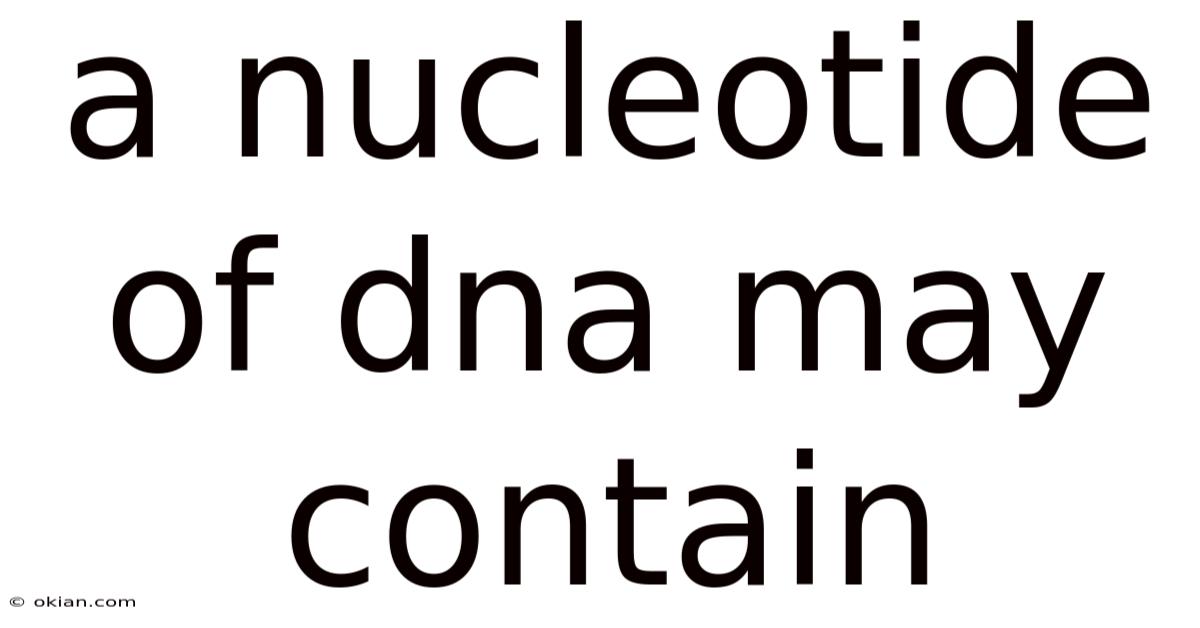A Nucleotide Of Dna May Contain