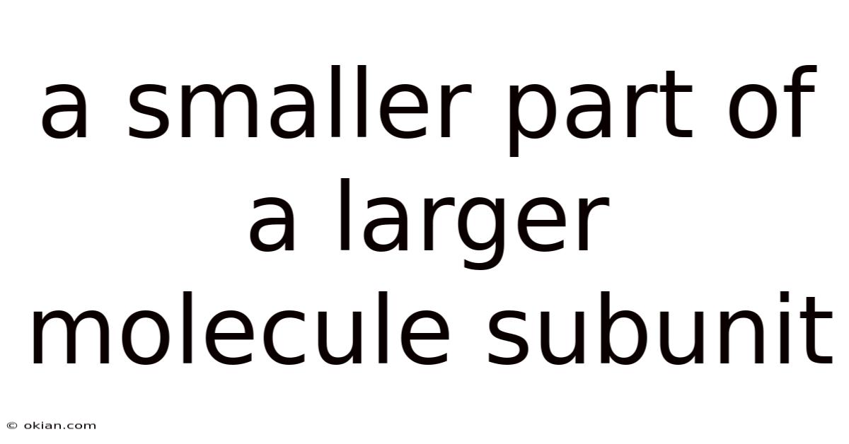 A Smaller Part Of A Larger Molecule Subunit