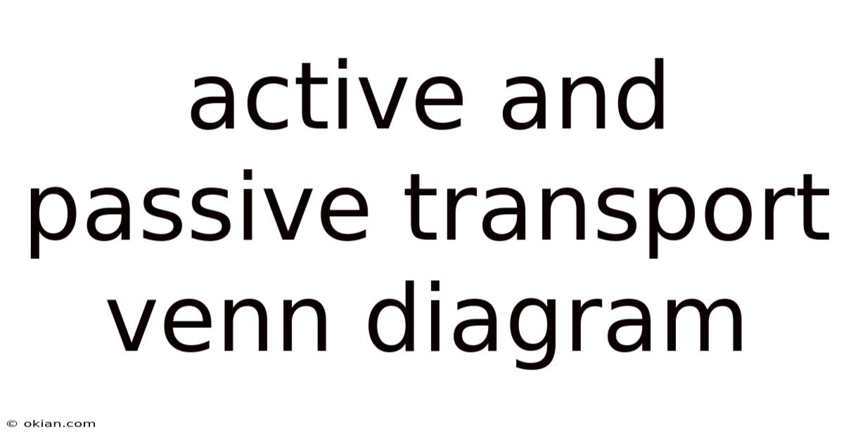 Active And Passive Transport Venn Diagram