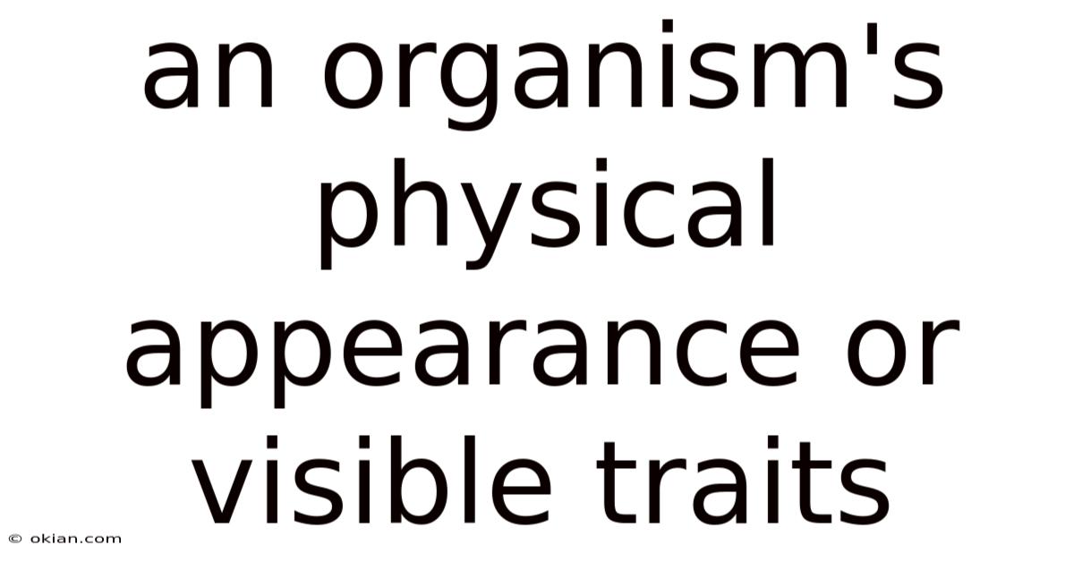 An Organism's Physical Appearance Or Visible Traits