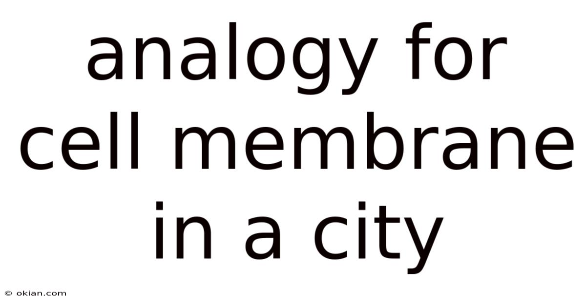 Analogy For Cell Membrane In A City