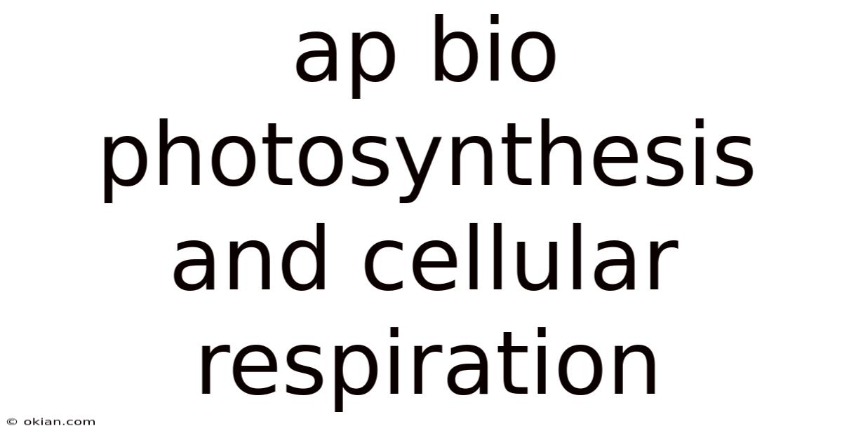Ap Bio Photosynthesis And Cellular Respiration
