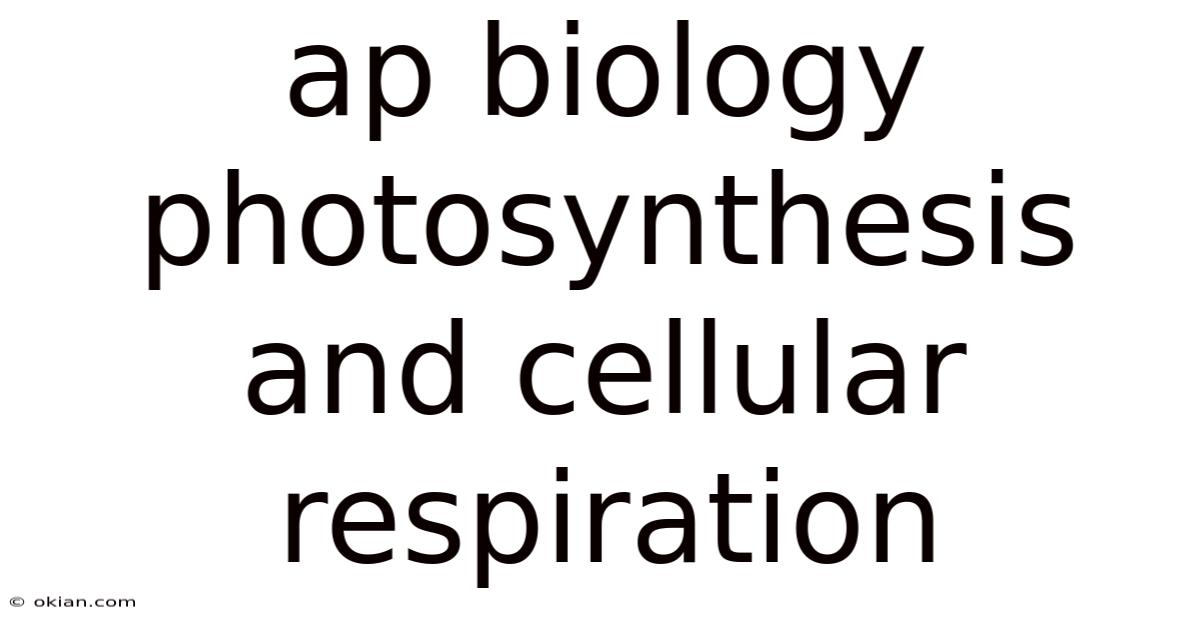 Ap Biology Photosynthesis And Cellular Respiration