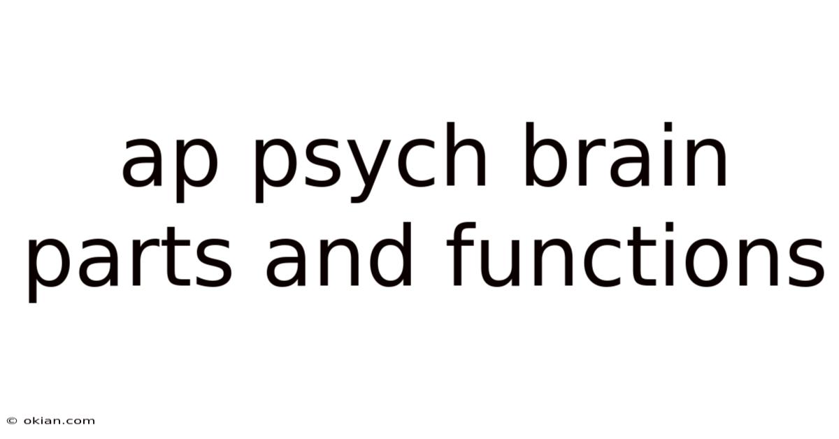 Ap Psych Brain Parts And Functions