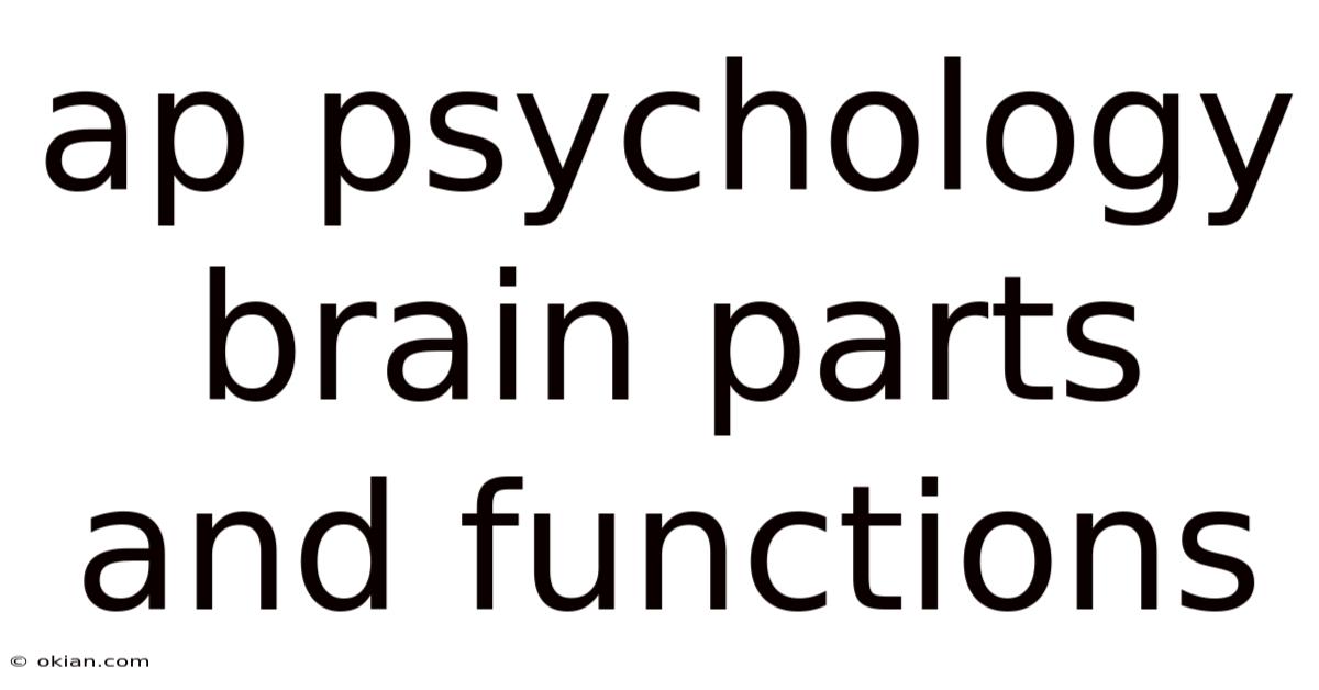 Ap Psychology Brain Parts And Functions