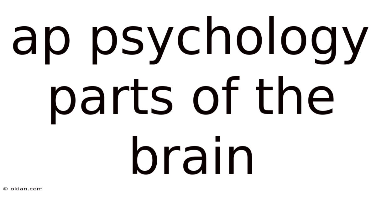 Ap Psychology Parts Of The Brain