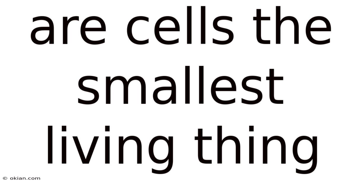 Are Cells The Smallest Living Thing