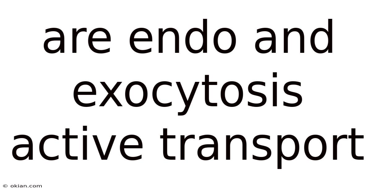 Are Endo And Exocytosis Active Transport