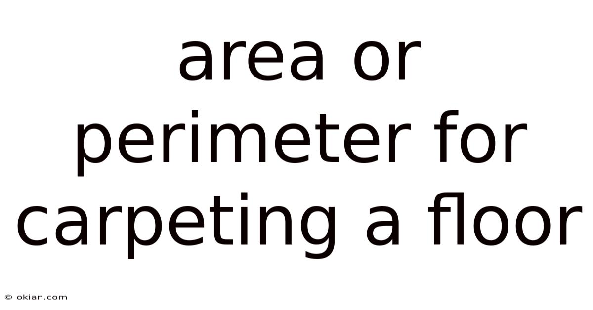 Area Or Perimeter For Carpeting A Floor