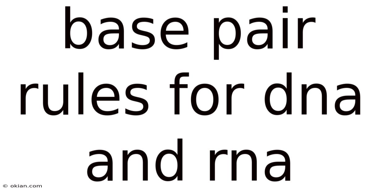 Base Pair Rules For Dna And Rna