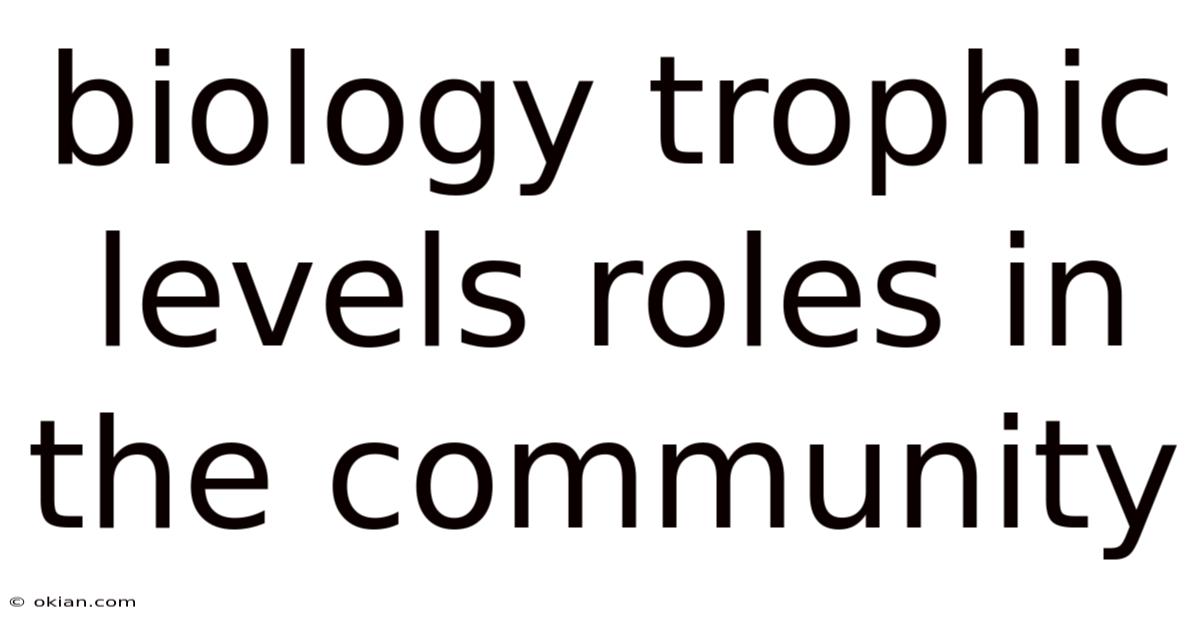 Biology Trophic Levels Roles In The Community