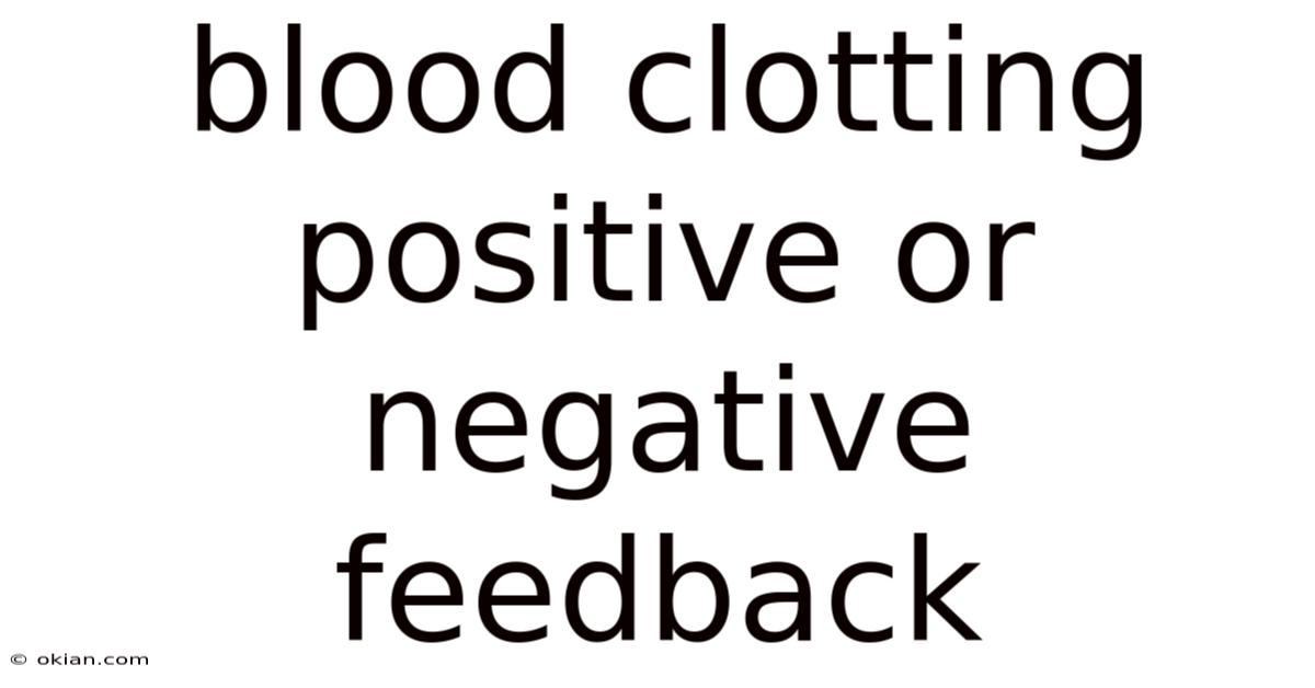 Blood Clotting Positive Or Negative Feedback