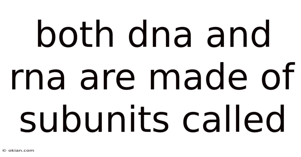 Both Dna And Rna Are Made Of Subunits Called