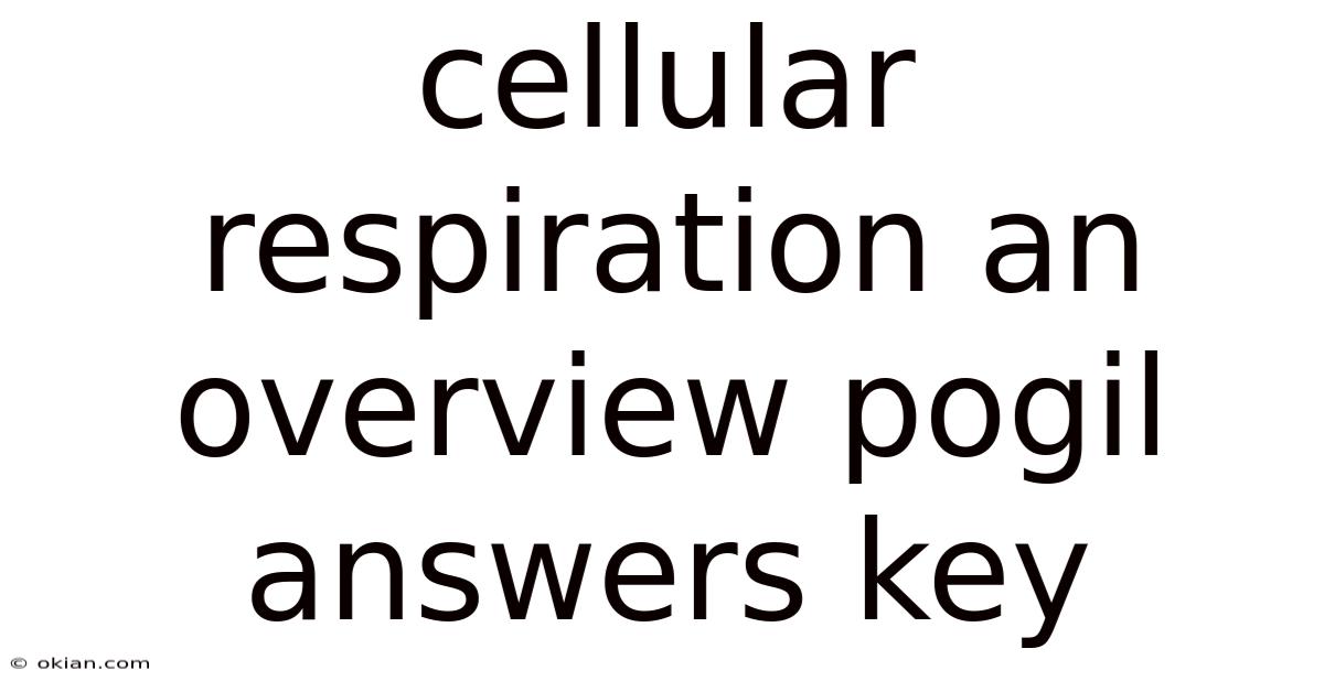 Cellular Respiration An Overview Pogil Answers Key