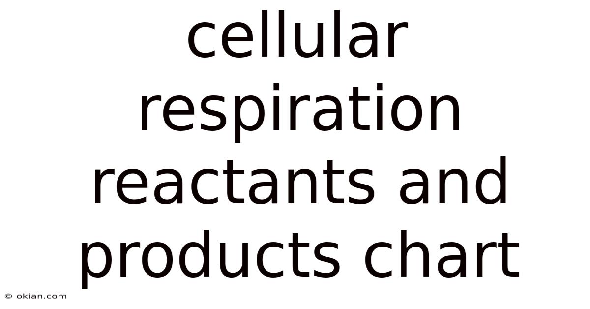 Cellular Respiration Reactants And Products Chart