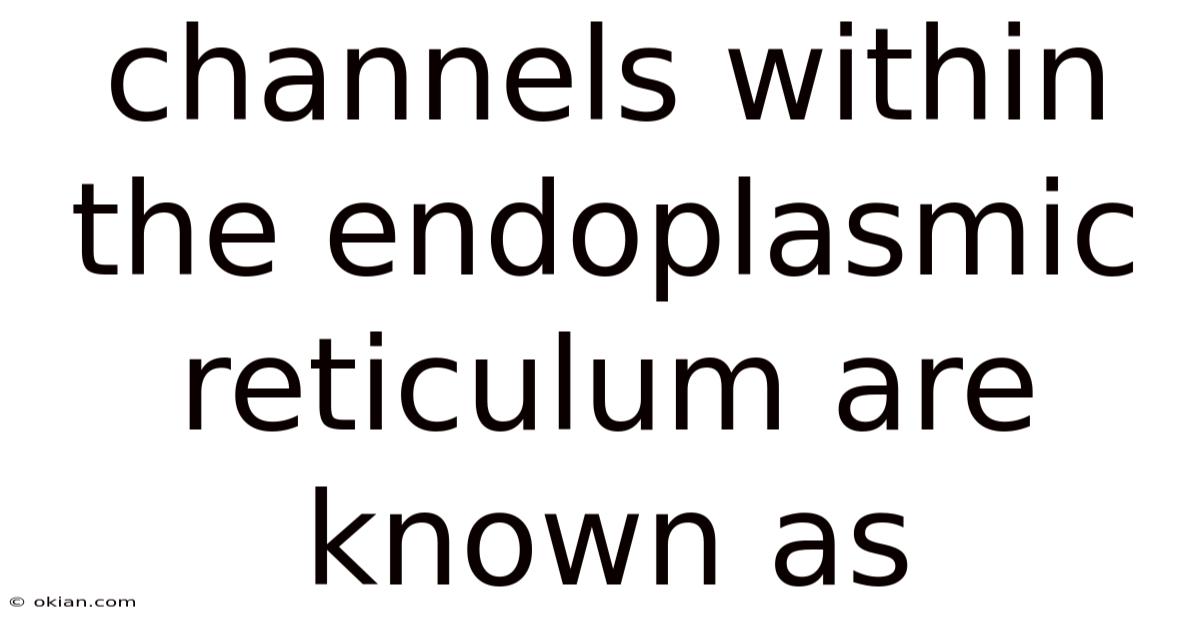Channels Within The Endoplasmic Reticulum Are Known As