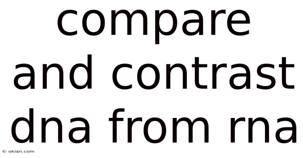 Compare And Contrast Dna From Rna