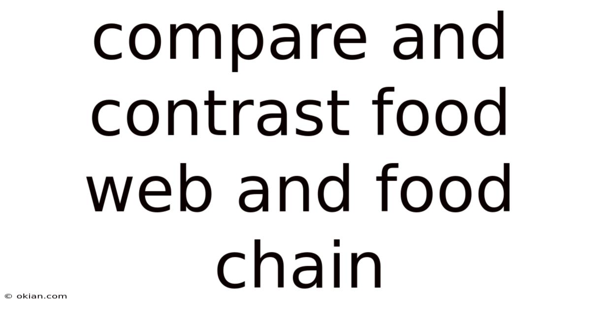 Compare And Contrast Food Web And Food Chain