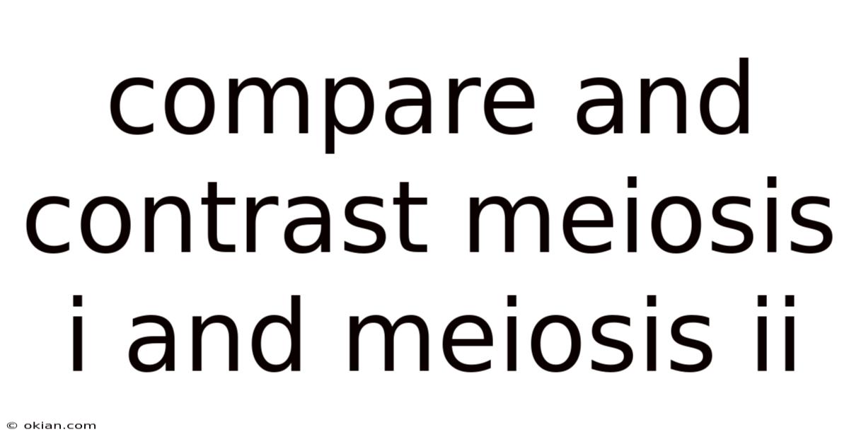 Compare And Contrast Meiosis I And Meiosis Ii