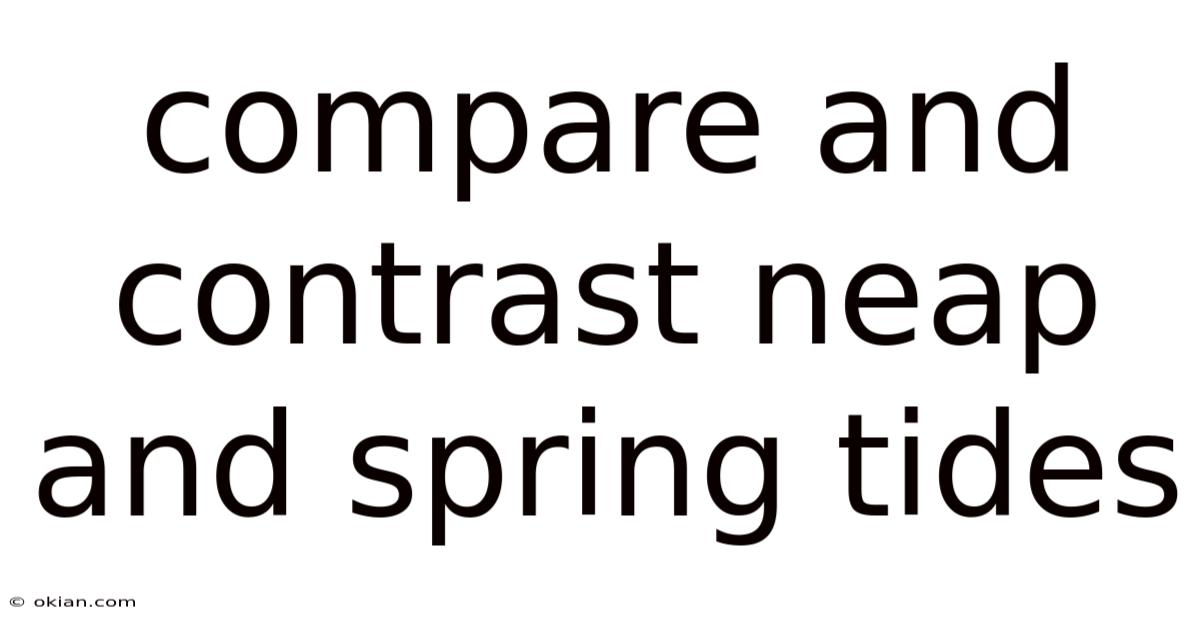 Compare And Contrast Neap And Spring Tides