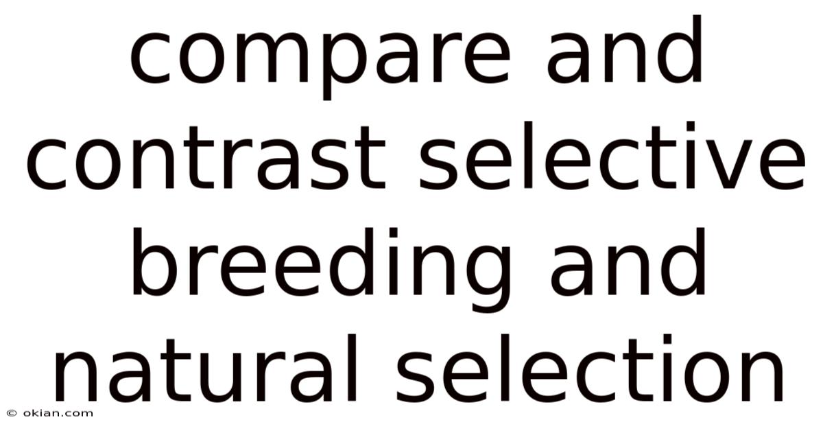 Compare And Contrast Selective Breeding And Natural Selection