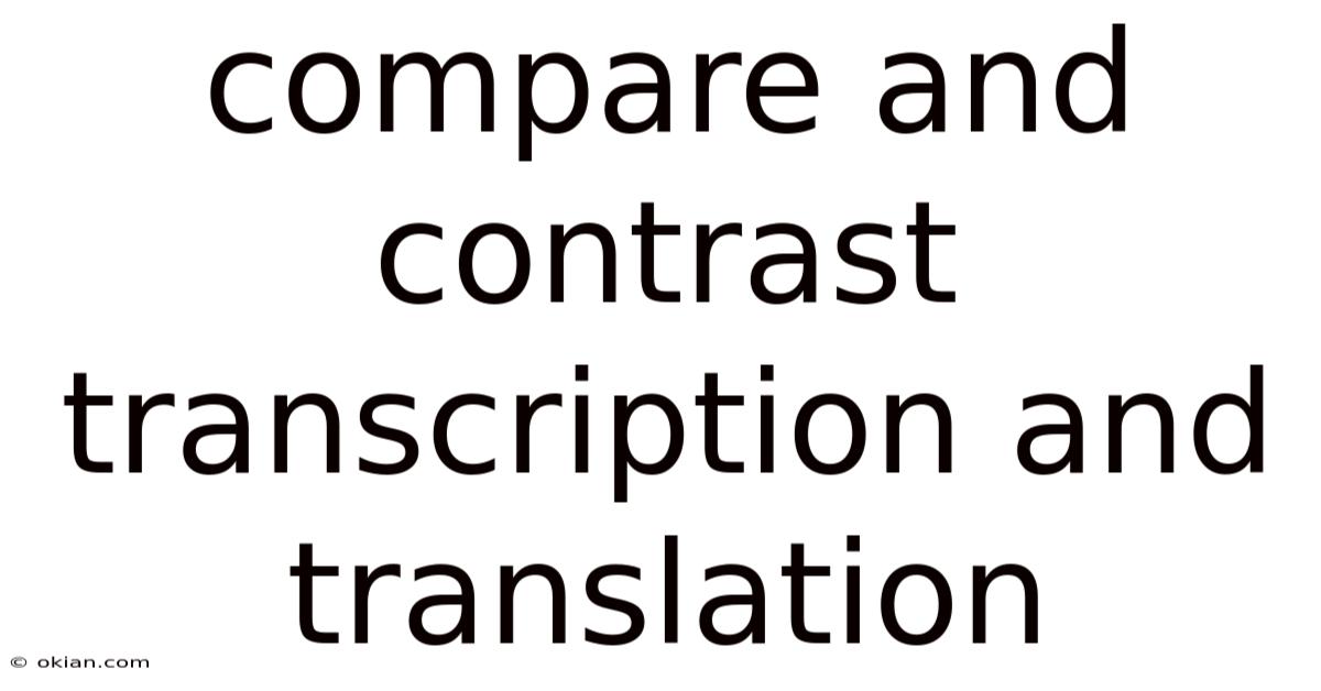 Compare And Contrast Transcription And Translation