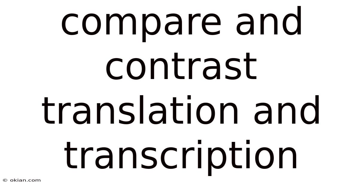 Compare And Contrast Translation And Transcription