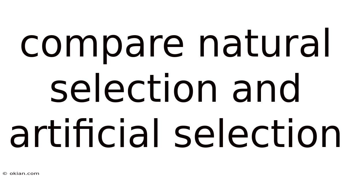 Compare Natural Selection And Artificial Selection