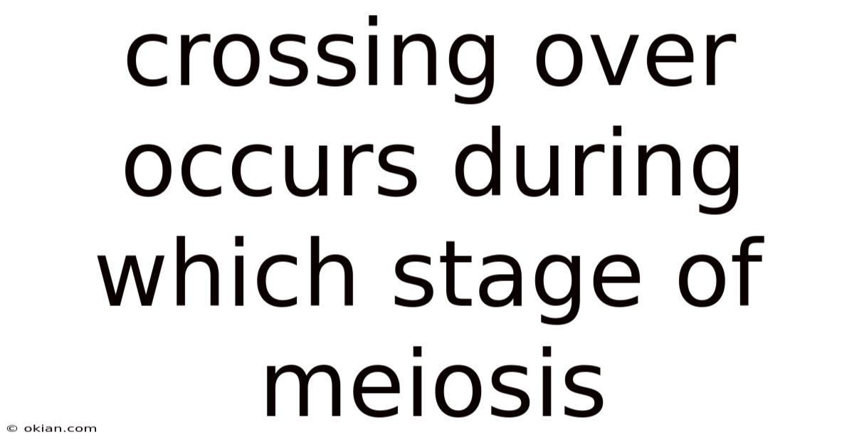 Crossing Over Occurs During Which Stage Of Meiosis