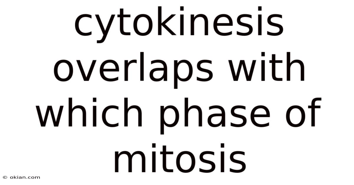 Cytokinesis Overlaps With Which Phase Of Mitosis