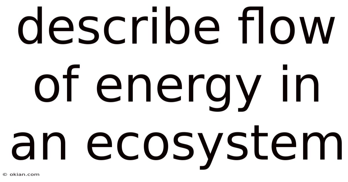 Describe Flow Of Energy In An Ecosystem