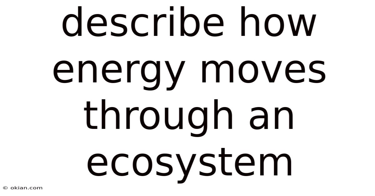 Describe How Energy Moves Through An Ecosystem