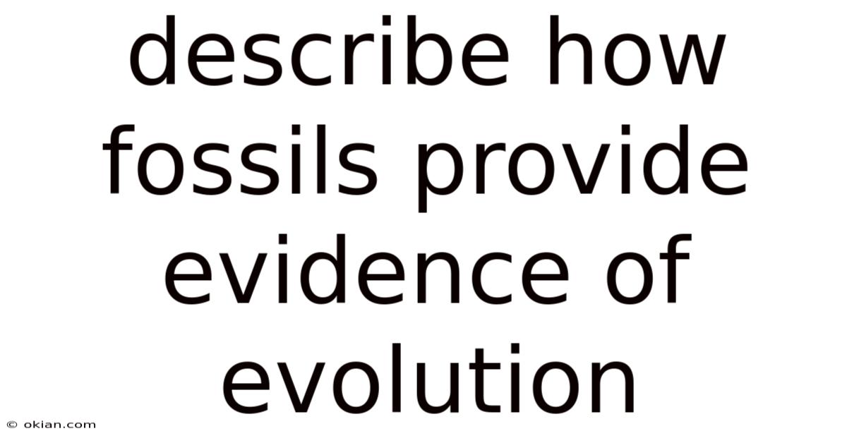 Describe How Fossils Provide Evidence Of Evolution