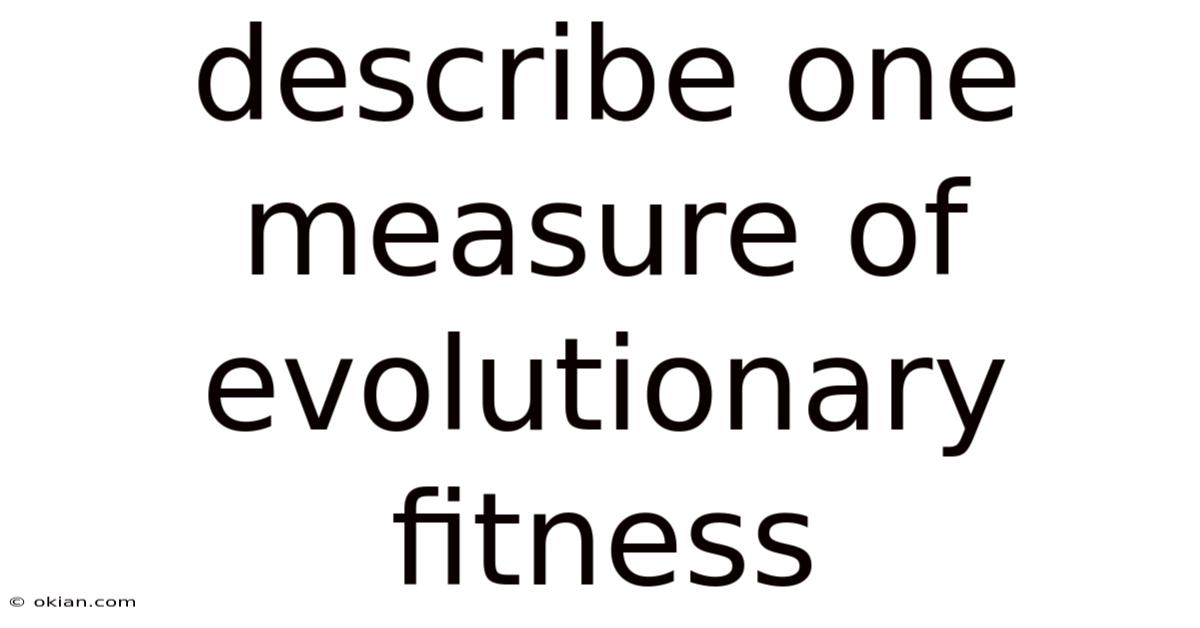 Describe One Measure Of Evolutionary Fitness