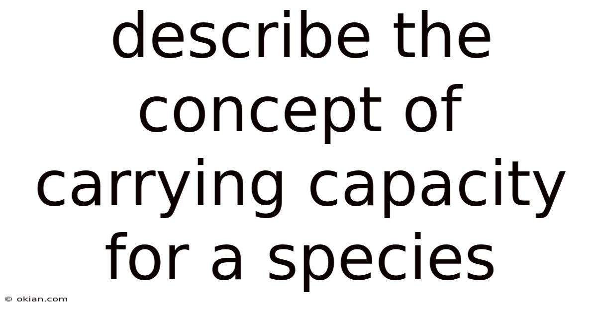Describe The Concept Of Carrying Capacity For A Species